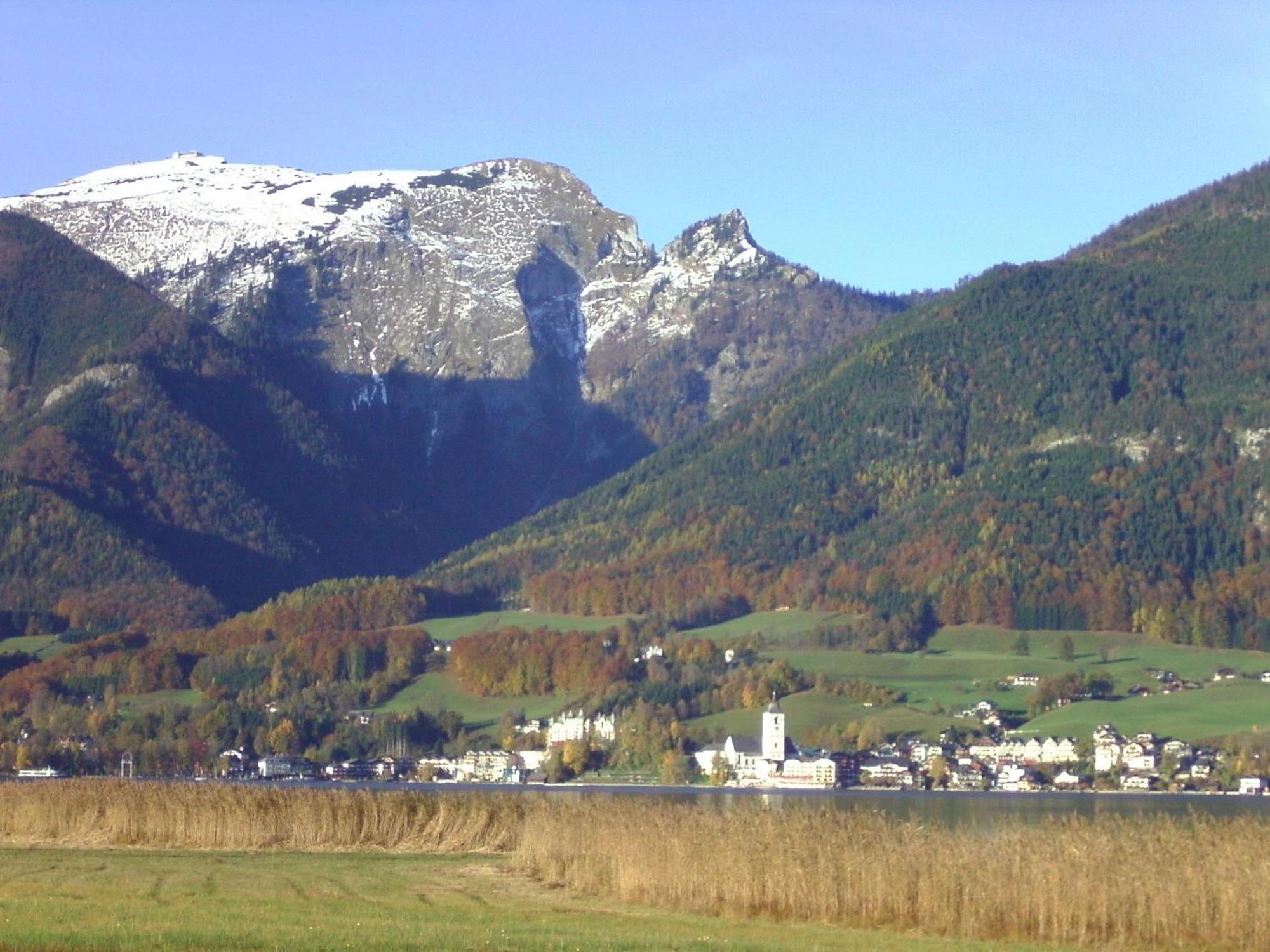 Gasthof Wiesenhof Strobl Dış mekan fotoğraf