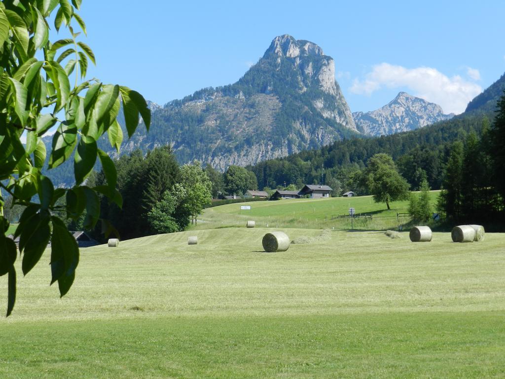 Gasthof Wiesenhof Strobl Dış mekan fotoğraf